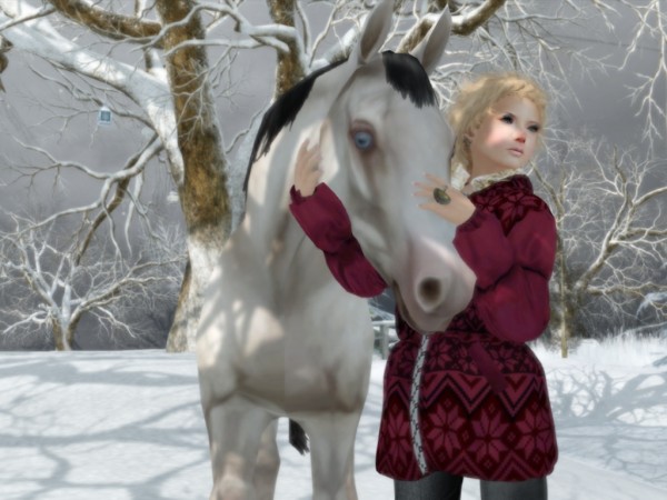winter2012_009