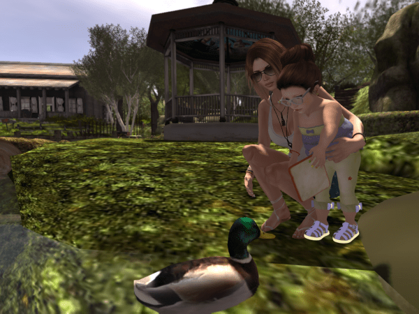 ducks_005